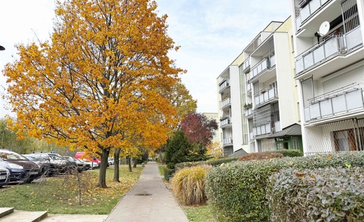 mieszkanie na wynajem - Warszawa, Praga-Południe, Gocław, Meissnera