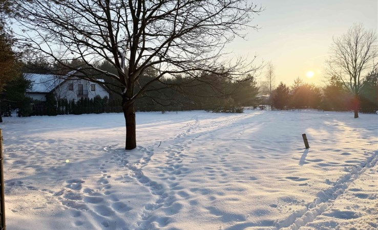 parcel for sale - Konstancin-Jeziorna, Parcela-Obory, Grzybowska